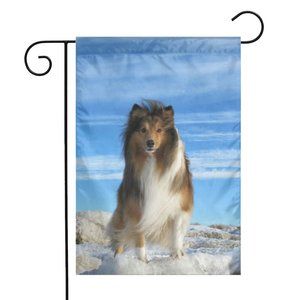 SKU-19-Cute Shetland Dog